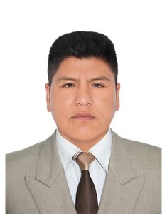 Dr. Martin Julio Merma Bellido